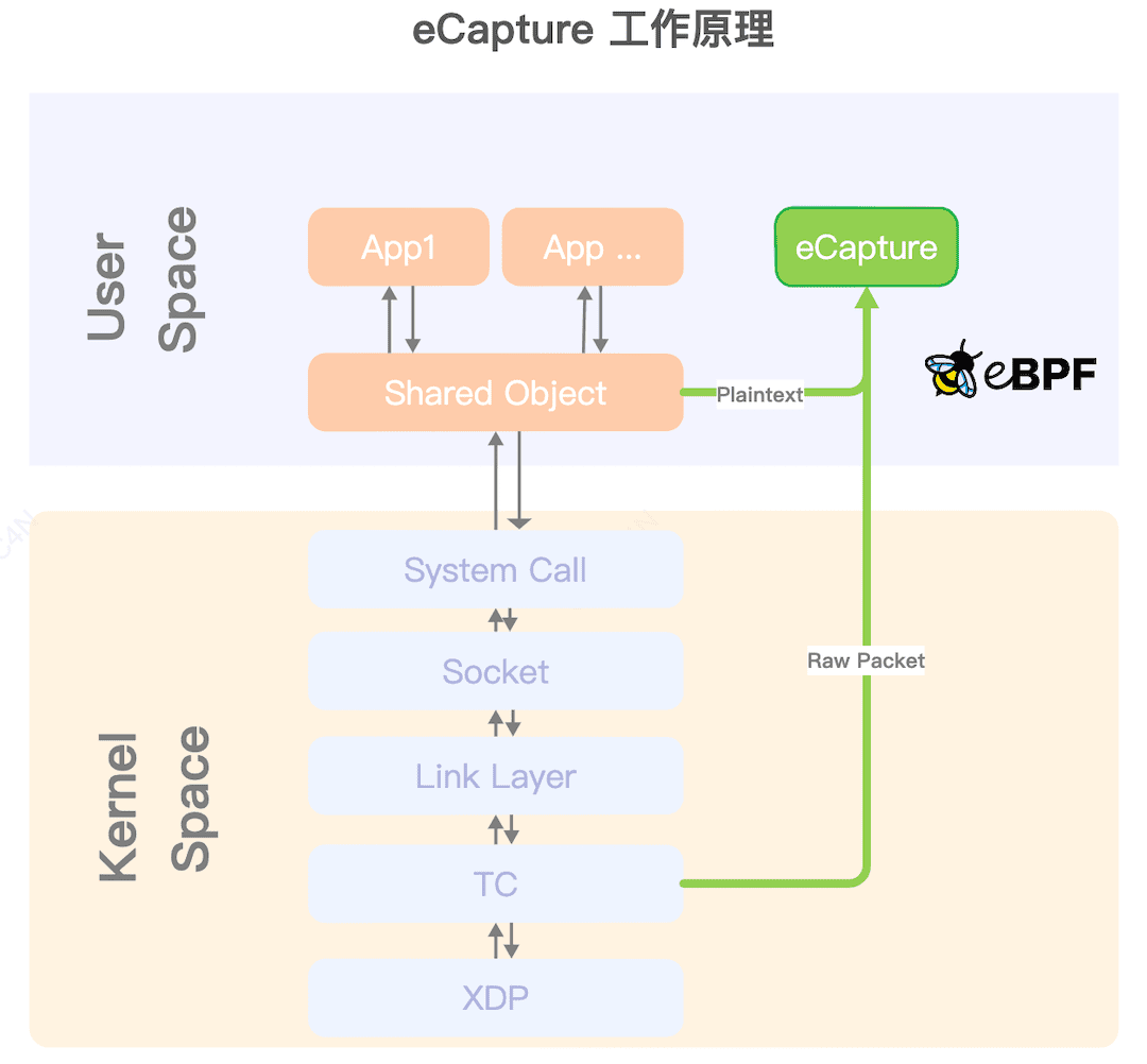 eCapture工作原理